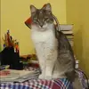 Отзыв от Ксения Князева
